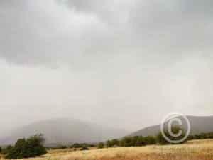 &Kappa;&alpha;&kappa;&omicron;&kappa;&alpha;&iota;&rho;ί&alpha; &laquo;Genesis&raquo;: &Kappa;&alpha;&tau;&alpha;&iota;&gamma;ί&delta;&epsilon;&sigmaf; &kappa;&alpha;&iota; &sigma;&tau;&eta;&nu; &Alpha;&rho;&gamma;&omicron;&lambda;ί&delta;&alpha; (&beta;ί&nu;&tau;&epsilon;&omicron;, &epsilon;&iota;&kappa;ό&nu;&epsilon;&sigmaf;)