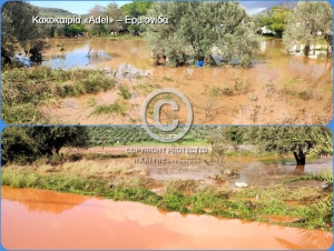 &Pi;&lambda;&eta;&mu;&mu;ύ&rho;&epsilon;&sigmaf; &kappa;&alpha;&iota; &laquo;&pi;&lambda;&eta;&gamma;έ&sigmaf;&raquo;: Έ&chi;&epsilon;&iota; &epsilon;&upsilon;&theta;ύ&nu;&eta; &kappa;&alpha;&iota;&hellip; &laquo;&omicron; &kappa;&alpha;&kappa;ό&sigmaf; &mu;&alpha;&sigmaf; &omicron; &kappa;&alpha;&iota;&rho;ό&sigmaf;&raquo; &ndash; &Alpha;&nu;&tau;&iota;&pi;&lambda;&eta;&mu;&mu;&upsilon;&rho;&iota;&kappa;ή &theta;&omega;&rho;ά&kappa;&iota;&sigma;&eta; &kappa;&alpha;&iota; ά&mu;&epsilon;&sigma;&alpha; (&beta;ί&nu;&tau;&epsilon;&omicron;, &epsilon;&iota;&kappa;ό&nu;&epsilon;&sigmaf;)