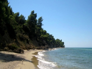 Χαλκιδική: Συνελήφθη κατάδικος μετά από καταγγελία για βιασμό