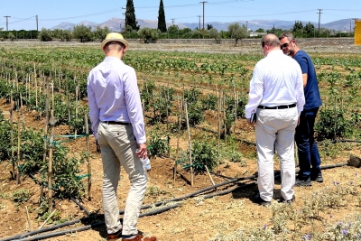&Gamma;&iota;&alpha;&tau;ί &omicron; &Gamma;&epsilon;&rho;&mu;&alpha;&nu;ό&sigmaf; &Pi;&rho;ό&xi;&epsilon;&nu;&omicron;&sigmaf; &beta;&rho;έ&theta;&eta;&kappa;&epsilon; &sigma;&tau;&iota;&sigmaf; &Alpha;&gamma;&rho;&omicron;&tau;&iota;&kappa;έ&sigmaf; &Phi;&upsilon;&lambda;&alpha;&kappa;έ&sigmaf; &tau;&eta;&sigmaf; &Tau;ί&rho;&upsilon;&nu;&theta;&alpha;&sigmaf; (&epsilon;&iota;&kappa;ό&nu;&epsilon;&sigmaf;)