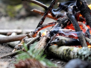 Αντιδράσεις για την καύση αγροτικών υπολειμμάτων: Τι ειπώθηκε στη συνάντηση των υπουργείων