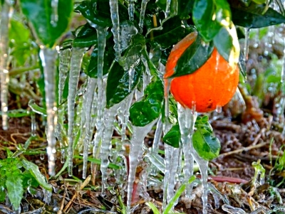&Alpha;&nu;&delta;&rho;&iota;&alpha;&nu;ό&sigmaf;: &Chi;&rho;ή&mu;&alpha;&tau;&alpha; &tau;&eta;&nu; &Pi;έ&mu;&pi;&tau;&eta; (04/08) &sigma;&tau;&omicron;&upsilon;&sigmaf; &pi;&alpha;&rho;&alpha;&gamma;&omega;&gamma;&omicron;ύ&sigmaf; &epsilon;&sigma;&pi;&epsilon;&rho;&iota;&delta;&omicron;&epsilon;&iota;&delta;ώ&nu; &gamma;&iota;&alpha; &tau;&omicron;&nu; &pi;&alpha;&gamma;&epsilon;&tau;ό &ndash; &Pi;&omicron;&iota;&omicron;&iota; &theta;&alpha; &pi;&lambda;&eta;&rho;&omega;&theta;&omicron;ύ&nu;