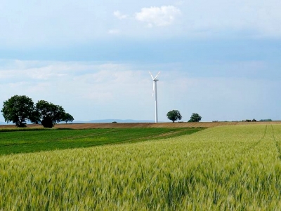 &Pi;&omicron;&upsilon;&lambda;ά&sigmaf;: &Omicron; &alpha;&gamma;&rho;&omicron;&delta;&iota;&alpha;&tau;&rho;&omicron;&phi;&iota;&kappa;ό&sigmaf; &tau;&omicron;&mu;έ&alpha;&sigmaf; έ&chi;&epsilon;&iota; &alpha;&nu;ά&gamma;&kappa;&eta; &mu;&alpha;&kappa;&rho;&omicron;&pi;&rho;ό&theta;&epsilon;&sigma;&mu;&omega;&nu; &pi;&omicron;&lambda;&iota;&tau;&iota;&kappa;ώ&nu; (&beta;ί&nu;&tau;&epsilon;&omicron;)