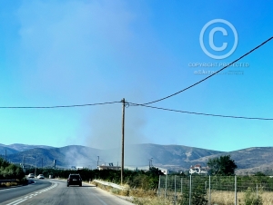 Φωτιά στην Αγία Τριάδα Ναυπλίου - Άμεση επέμβαση από την Πυροσβεστική (εικόνες)