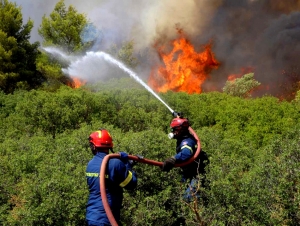 Πυρκαγιά στην Κορινθία: Δεν απειλεί κατοικημένη περιοχή